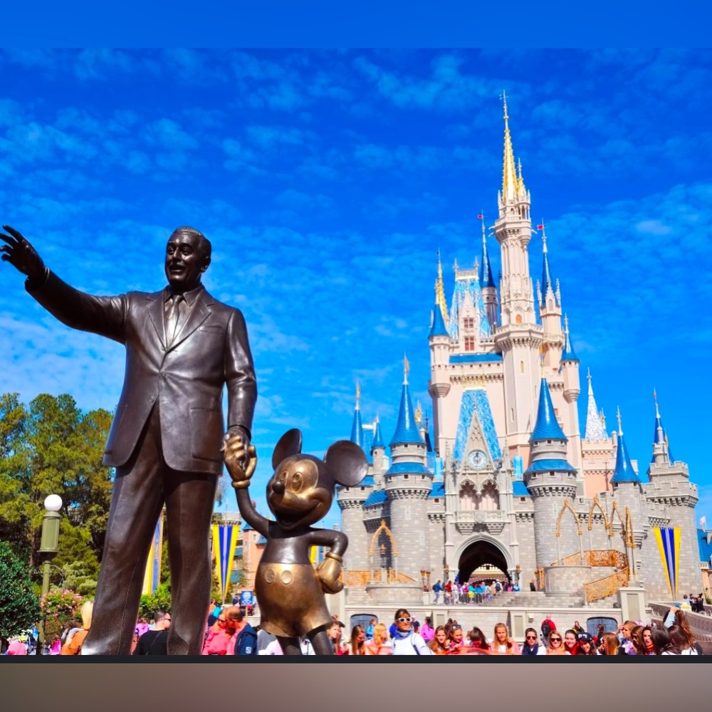 Disney Outlet Unlisted
